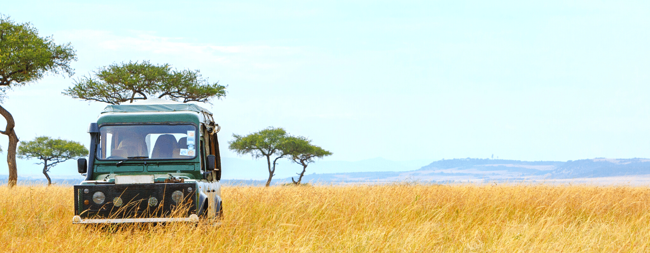 safari-in-africa-con-AfroNine
