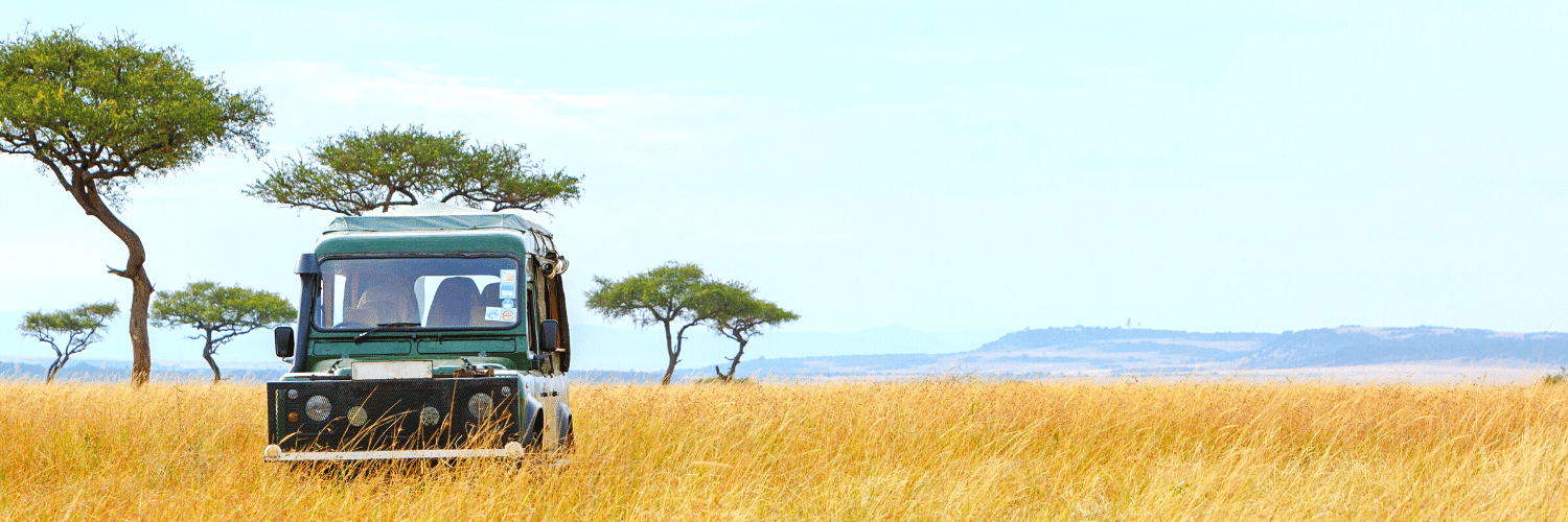 safari-in-africa-con-AfroNine