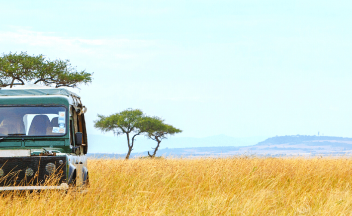 safari-in-africa-con-AfroNine