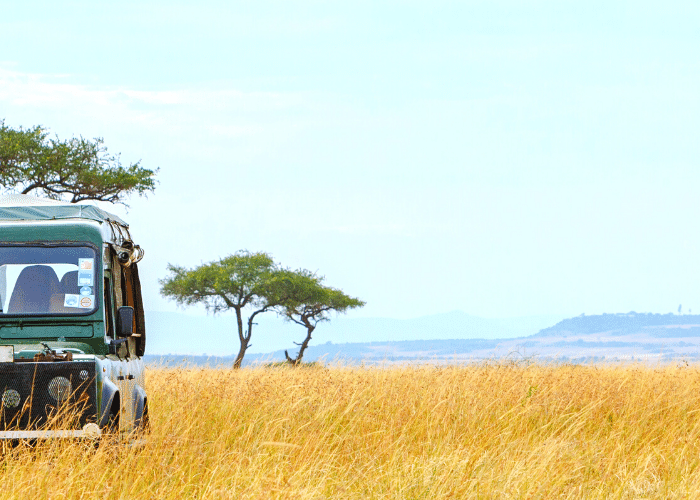 safari-in-africa-con-AfroNine