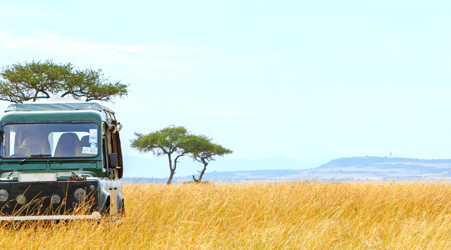 safari-in-africa-con-AfroNine