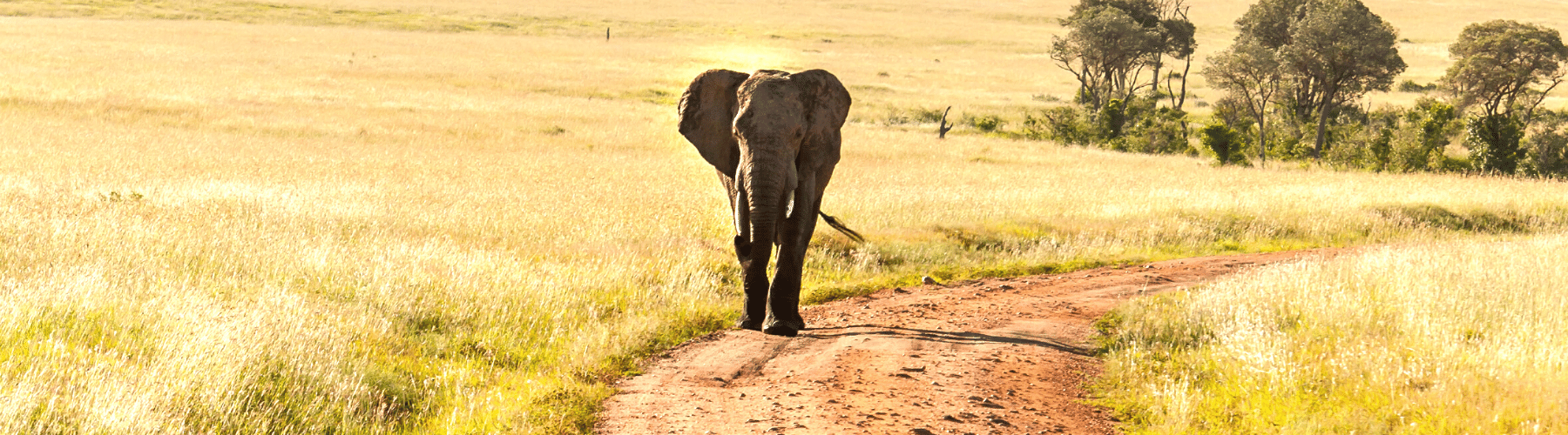 viaggio-in-sudafrica-fly-drive-con-AfroNine