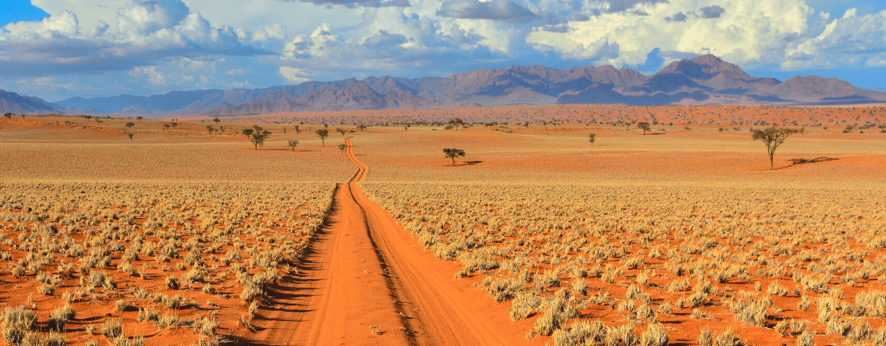 viaggio-self-drive-in-namibia-con-AfroNine