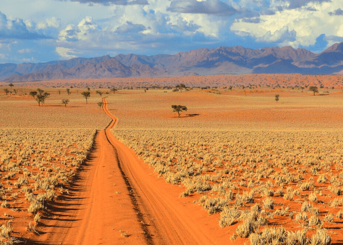 viaggio-self-drive-in-namibia-con-AfroNine