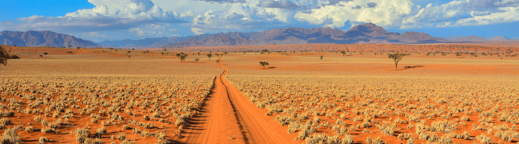 viaggio-self-drive-in-namibia-con-AfroNine